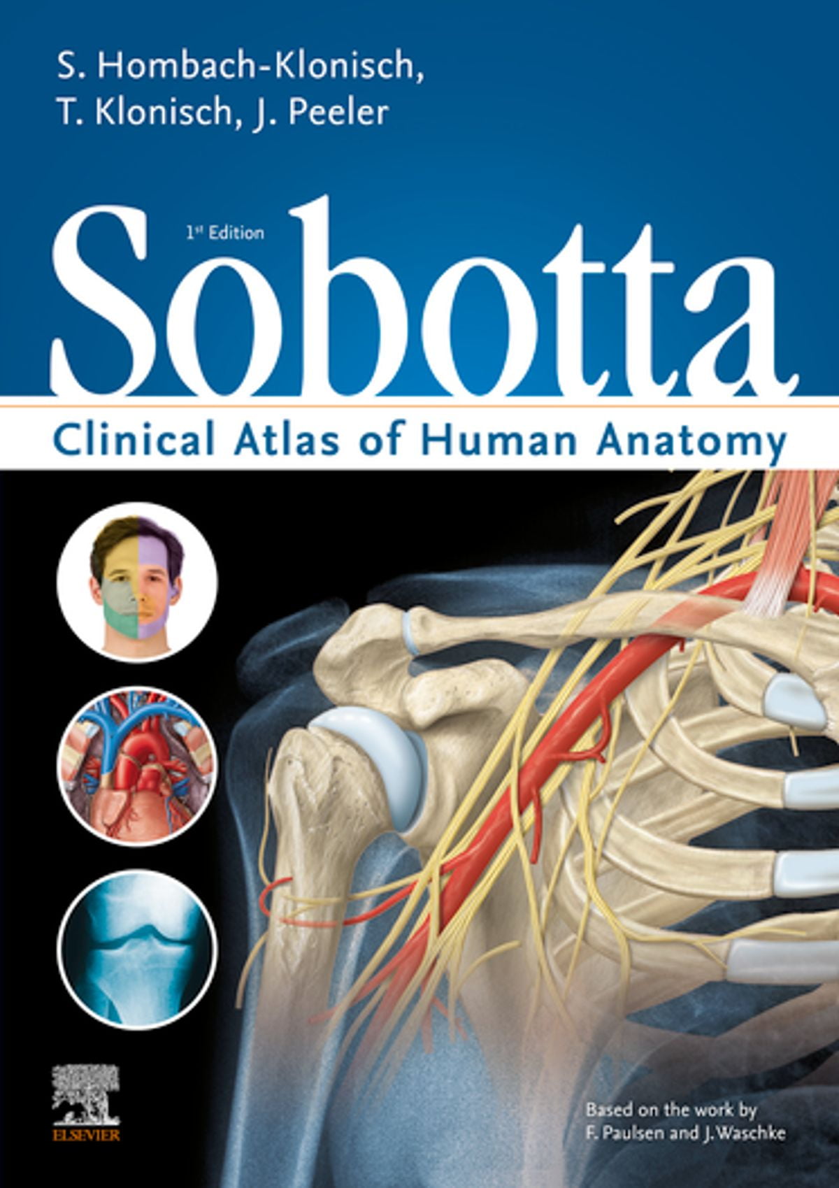 Human Anatomy Ebook